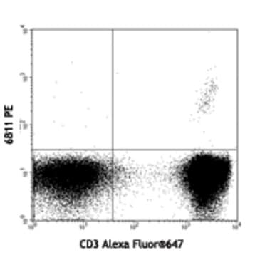 Purified anti-human TCR Valpha24-Jalpha18 (iNKT cell)