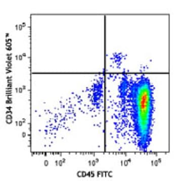 Brilliant Violet 605(TM) anti-human CD34 avatar