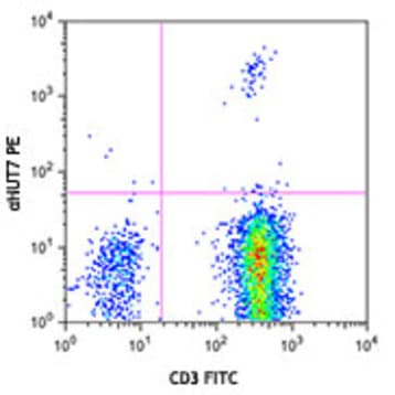 PE anti-human TCR Vbeta23 avatar