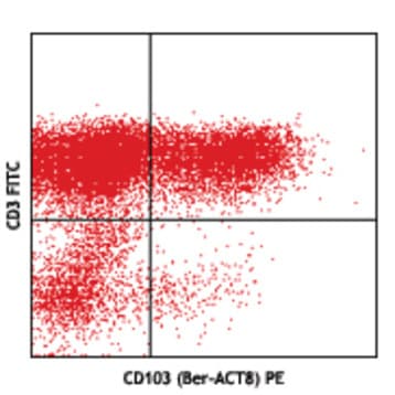 PE anti-human CD103 (Integrin alphaE) avatar