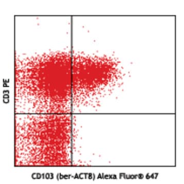 Alexa Fluor(R) 647 anti-human CD103 (Integrin alphaE)