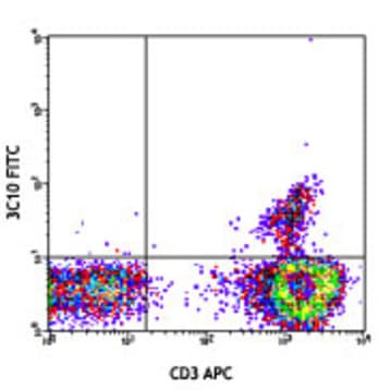 FITC anti-human TCR Valpha7.2 avatar