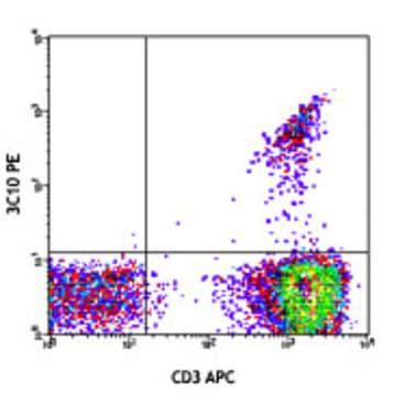 PE anti-human TCR Valpha7.2 avatar