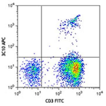 APC anti-human TCR Valpha7.2 avatar