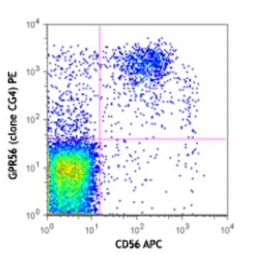 PE anti-human GPR56