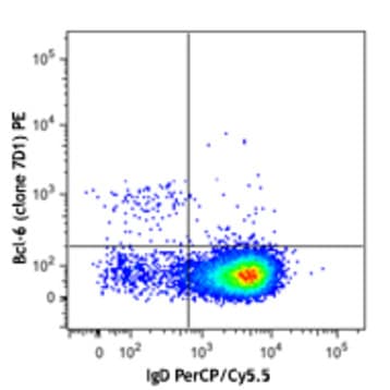 PE anti-human/mouse Bcl-6 avatar