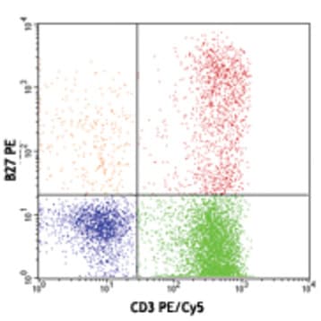 PE anti-human IFN-gamma avatar