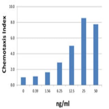 Recombinant Human CXCL1 (GRO-alpha) (carrier-free) avatar