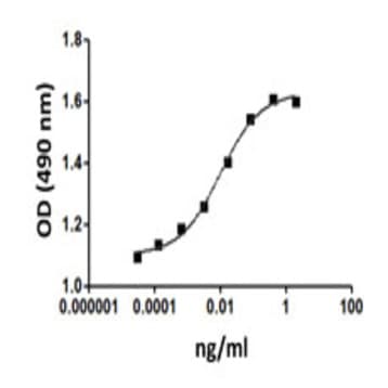 Recombinant mouse GM-CSF (carrier-free) avatar