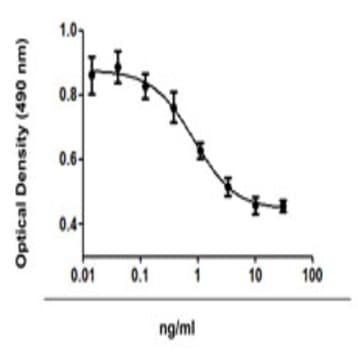 Recombinant Human TGF-beta2 (carrier-free) avatar