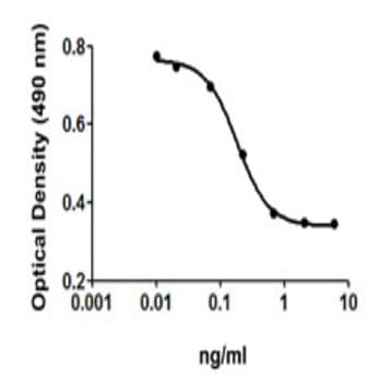 Recombinant Human TGF-beta3 (carrier-free) avatar