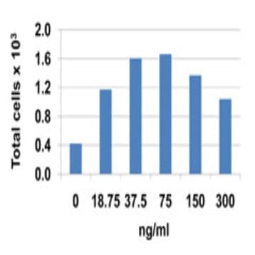 Recombinant Mouse CCL9 (MIP-1gamma) (carrier-free)