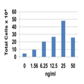 Recombinant Human CXCL7 (NAP-2) (carrier-free) avatar