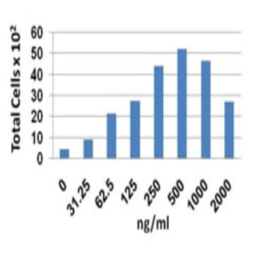 Recombinant Human CCL23 (MPIF-1) (Arg22-Ans120) (carrier-free) avatar