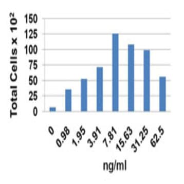 Recombinant Human CCL23 (MPIF-1) (Arg46-Ans120) (carrier-free) avatar