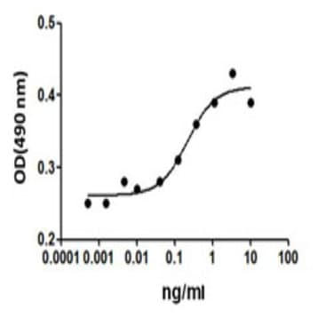 Recombinant Human Erythropoietin (EPO) (carrier-free) avatar