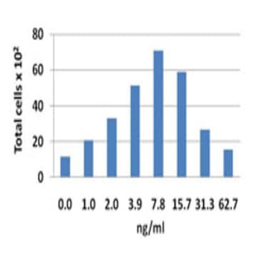 Recombinant Human CCL14 (HCC-1) (carrier-free) avatar