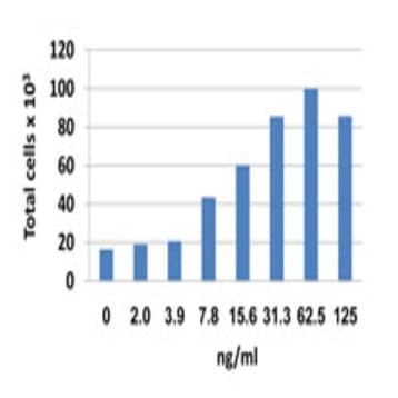 Recombinant Human CCL15 (MIP-1delta) (carrier-free)