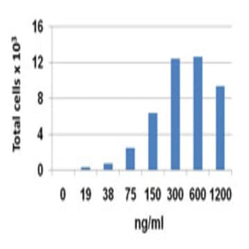 Recombinant Human CCL13 (MCP-4) (carrier-free) avatar