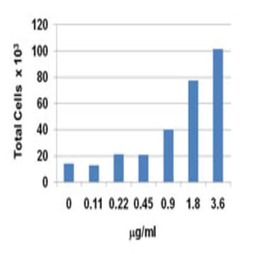 Recombinant Human CXCL12 (SDF-1beta) (carrier-free) avatar