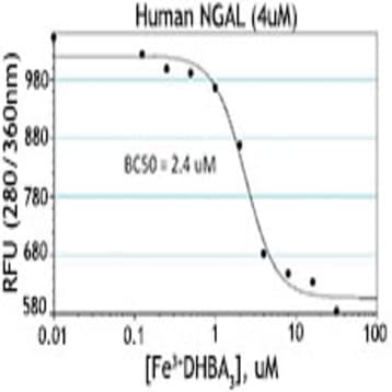 Recombinant Human NGAL (Lipocalin-2) (carrier-free) avatar
