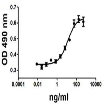 Recombinant Mouse IGF-II (carrier-free) avatar