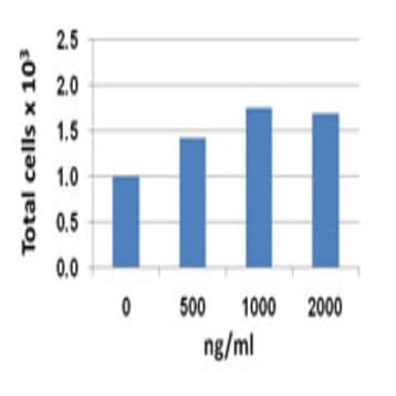 Recombinant Mouse CXCL14 (BRAK) (carrier-free) avatar