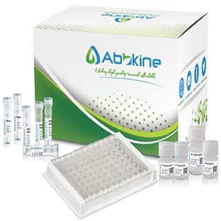 EliKine™ Mouse IL-4 ELISA Kit