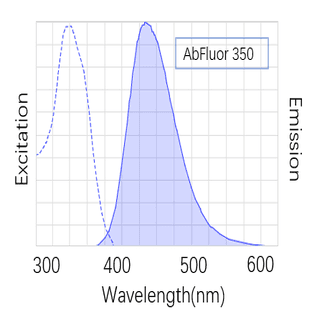 Anti-PCNA Mouse Monoclonal Antibody (1D7), AbFluor™ 350 Conjugated