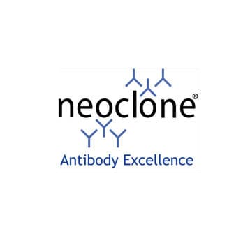 RNA polymerase alpha Antibody