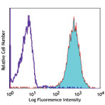 PE anti-human CD13