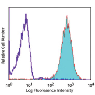 PE anti-human CD13