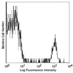 PE/Cy5 anti-human CD19