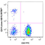 Brilliant Violet 785(TM) anti-human CD19