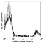 PE anti-human CD20