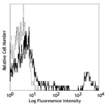 PE/Cy7 anti-human CD20