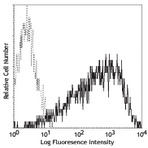 PE anti-human CD25