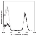 PE anti-human CD28