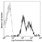 PE anti-human CD29