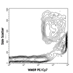 PE/Cy7 anti-human CD31