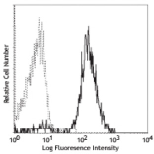 PE anti-human CD86