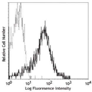 PE anti-human CD184 (CXCR4)