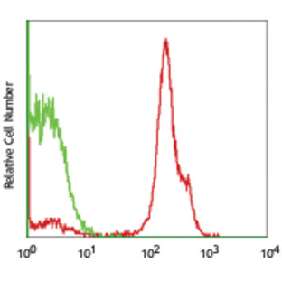 PE/Cy7 anti-human CD2