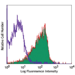 PE/Cy7 anti-human CD55