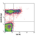 PE anti-human CD267 (TACI)