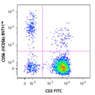 Brilliant Violet 711(TM) anti-human CD56 (NCAM)