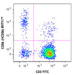 Brilliant Violet 711(TM) anti-human CD56 (NCAM)