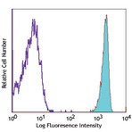 APC anti-human CD181 (CXCR1)