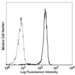 FITC anti-human CD182 (CXCR2)