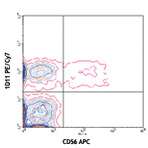 PE/Cy7 anti-human CD314 (NKG2D)